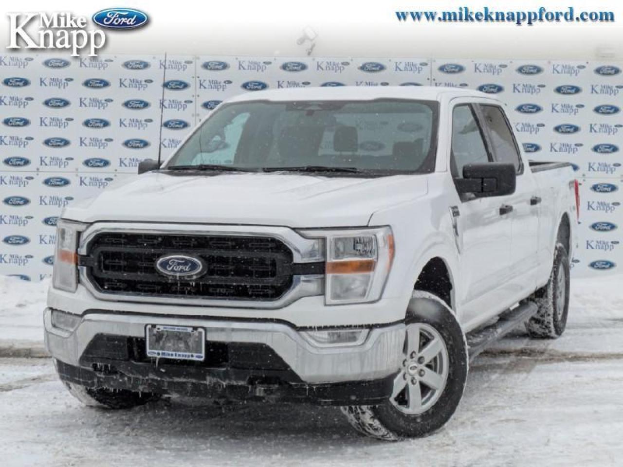 2022 Ford F-150 XLT Photo