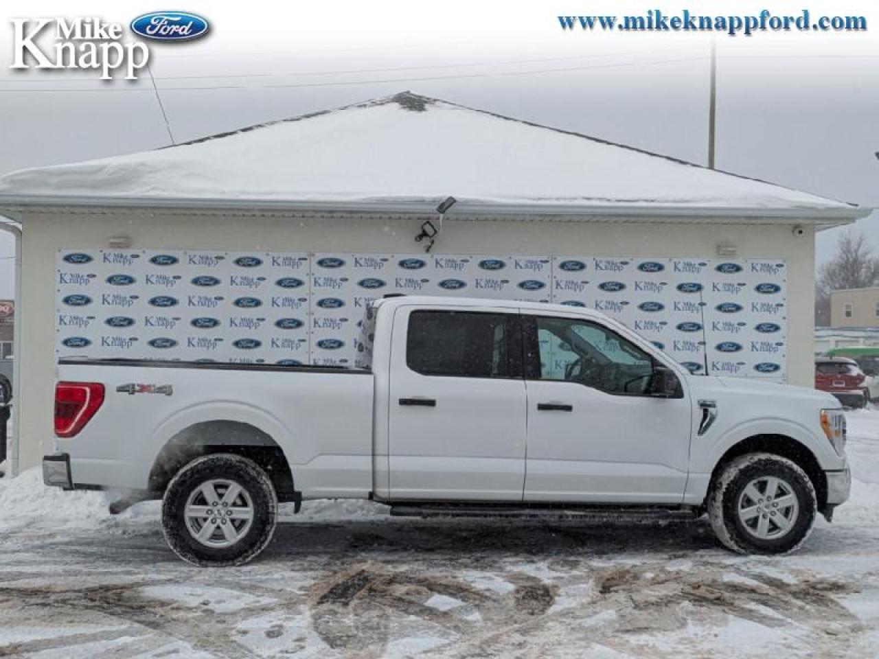 2022 Ford F-150 XLT Photo
