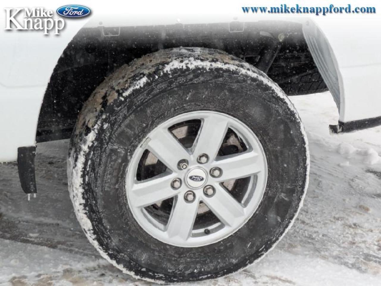 2022 Ford F-150 XLT Photo