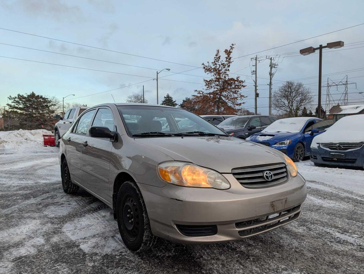 2004 Toyota Corolla 4DR SDN CE AUTO Photo