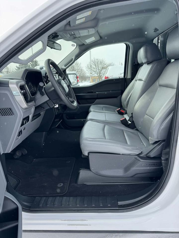 2023 Ford F-150 XL 4WD REG CAB 8' BOX Photo