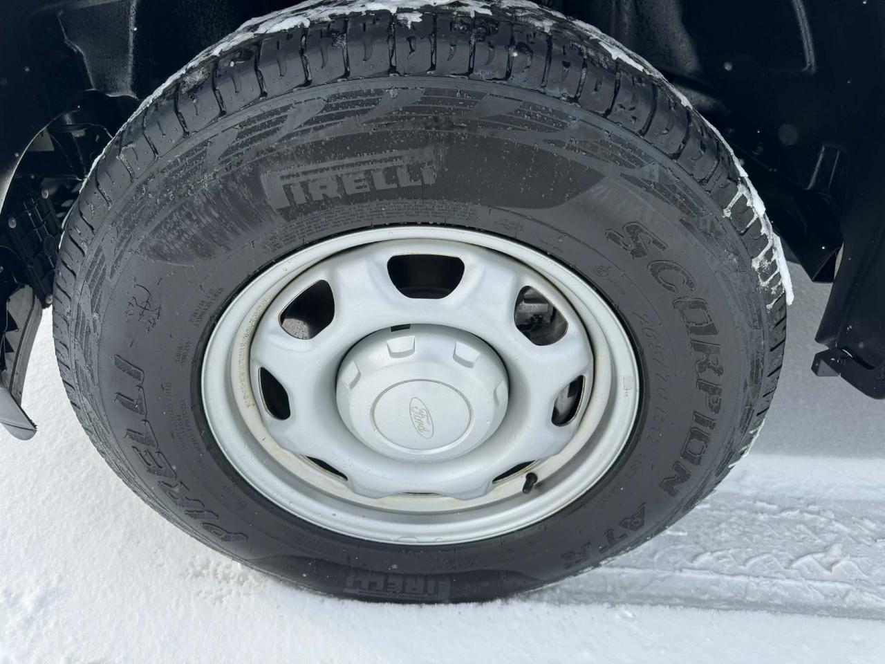 2023 Ford F-150 XL 4WD REG CAB 8' BOX Photo