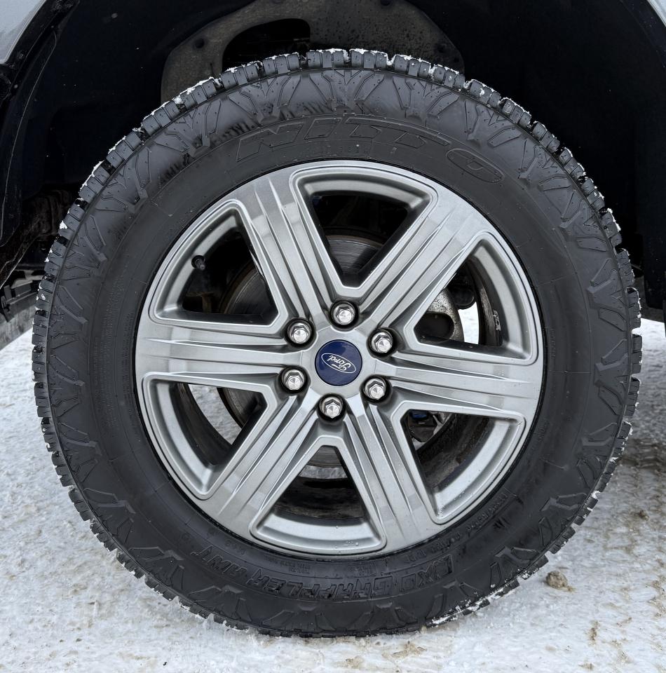 2019 Ford F-150 Limited 4WD SuperCrew 5.5' Box Photo