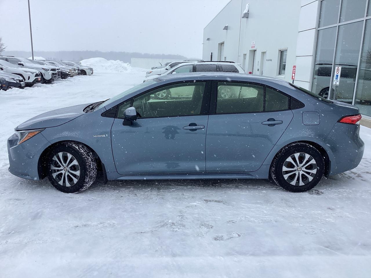 2020 Toyota Corolla Hybrid Premium Photo