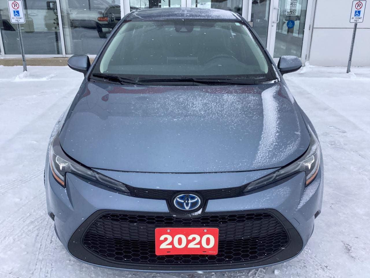 2020 Toyota Corolla Hybrid Premium Photo