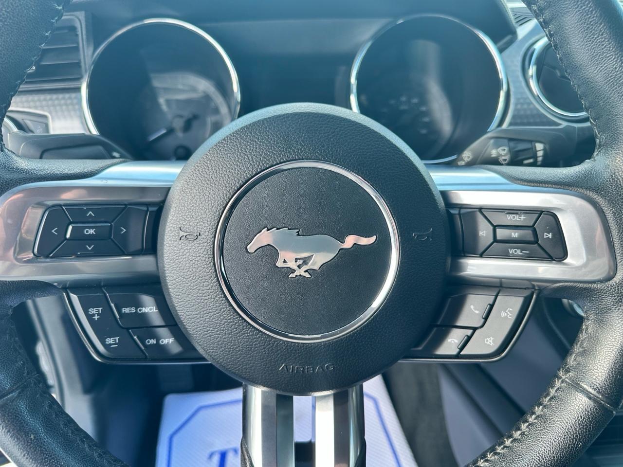 2016 Ford Mustang GT ~ V8 ~ MANUAL ~ NO ACCIDENTS ~ CERTIFIED Photo