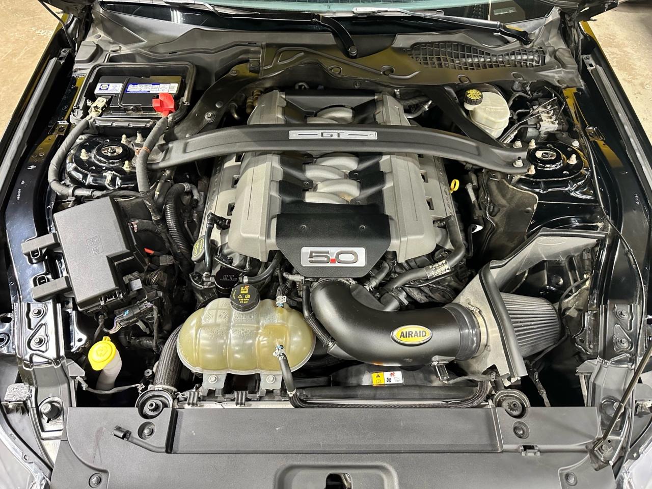 2016 Ford Mustang GT ~ V8 ~ MANUAL ~ NO ACCIDENTS ~ CERTIFIED Photo