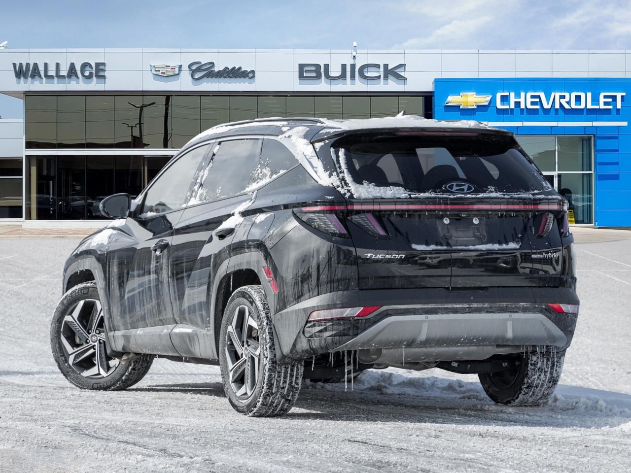 2023 Hyundai Tucson Hybrid Ultimate AWD   Local trade Photo4