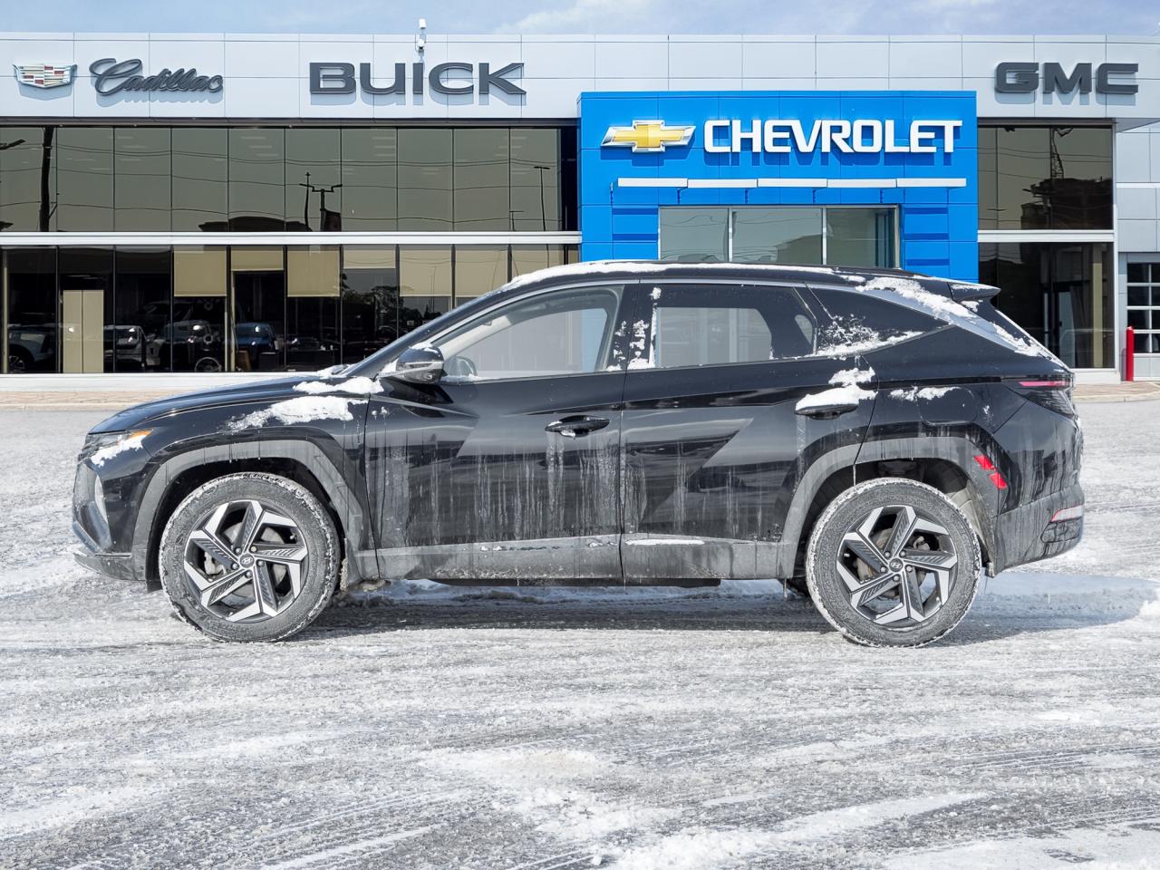 2023 Hyundai Tucson Hybrid Ultimate AWD   Local trade Photo