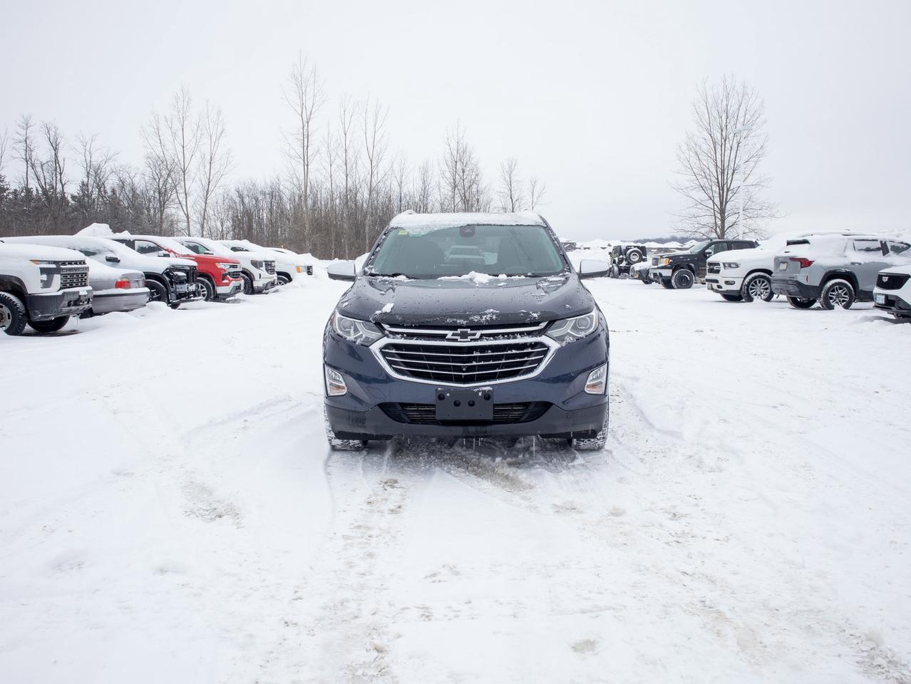2019 Chevrolet Equinox Premier - Power Liftgate   Leather Steering Wheel Photo