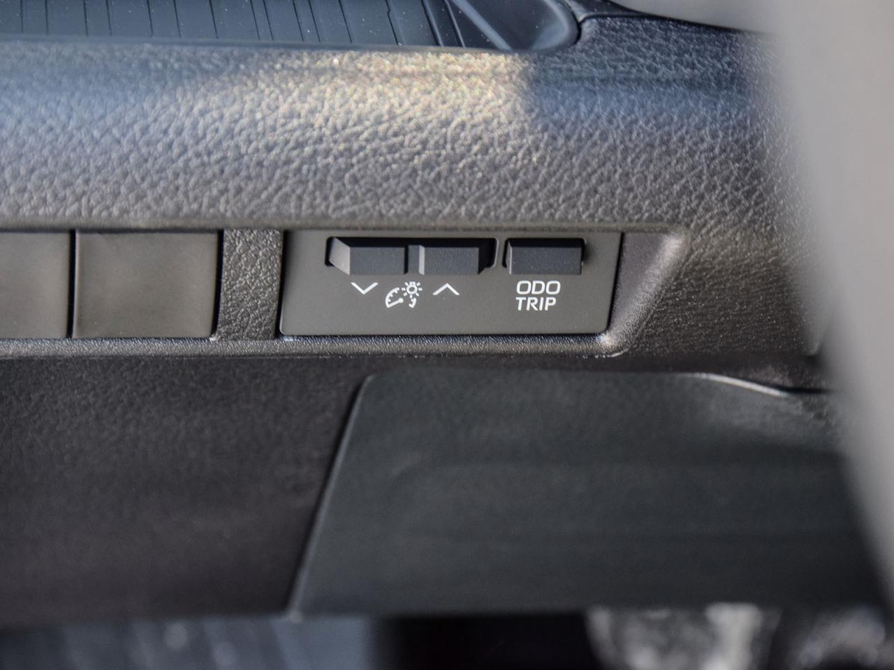 2025 Toyota Sienna LE Photo