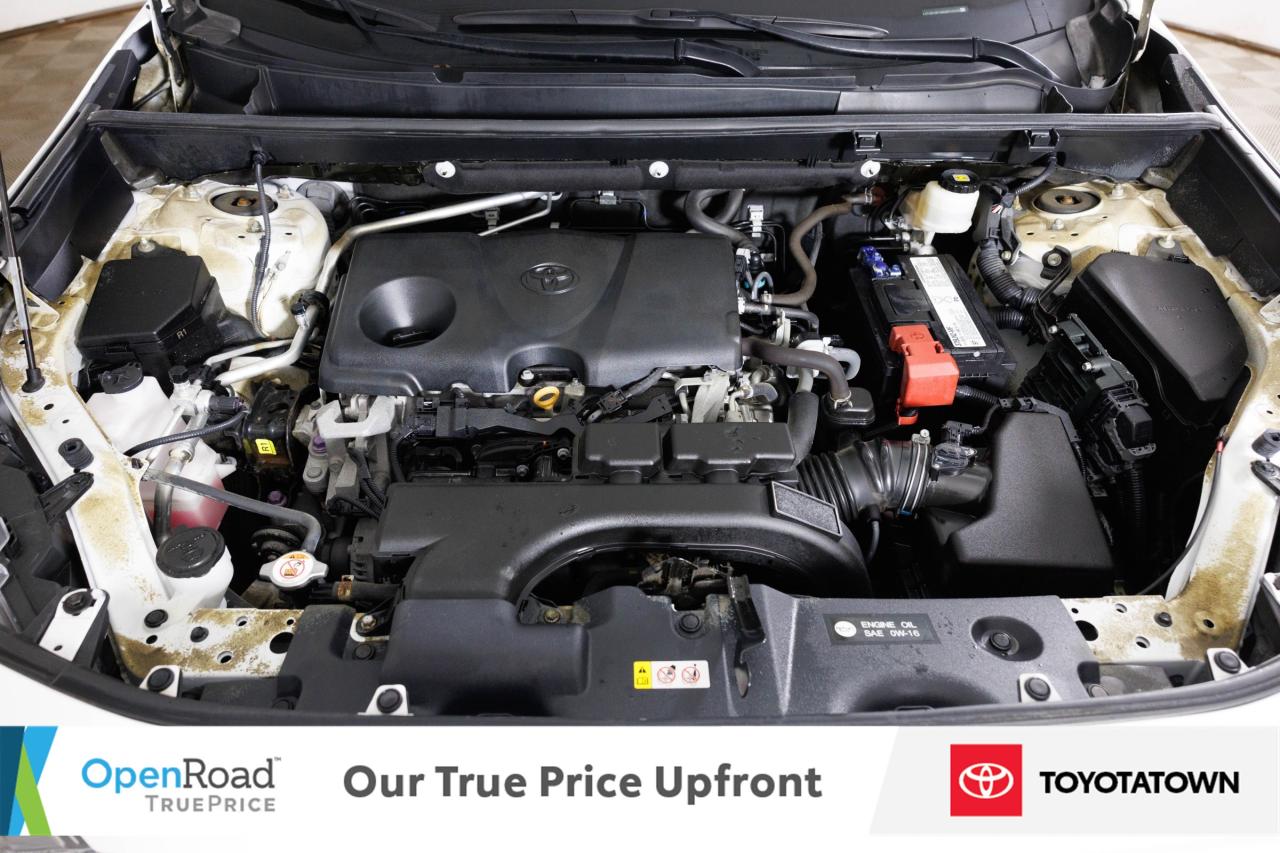 2019 Toyota RAV4 XLE PREMIUM! ACCIDENT FREE! LOW MILEAGE! Photo
