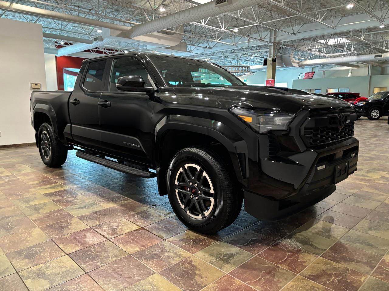 2024 Toyota Tacoma  Photo