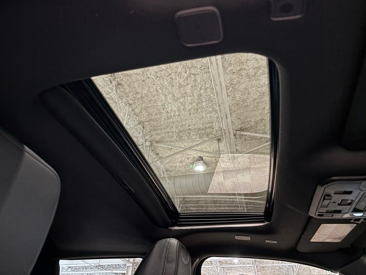 2024 Toyota Tacoma  Photo