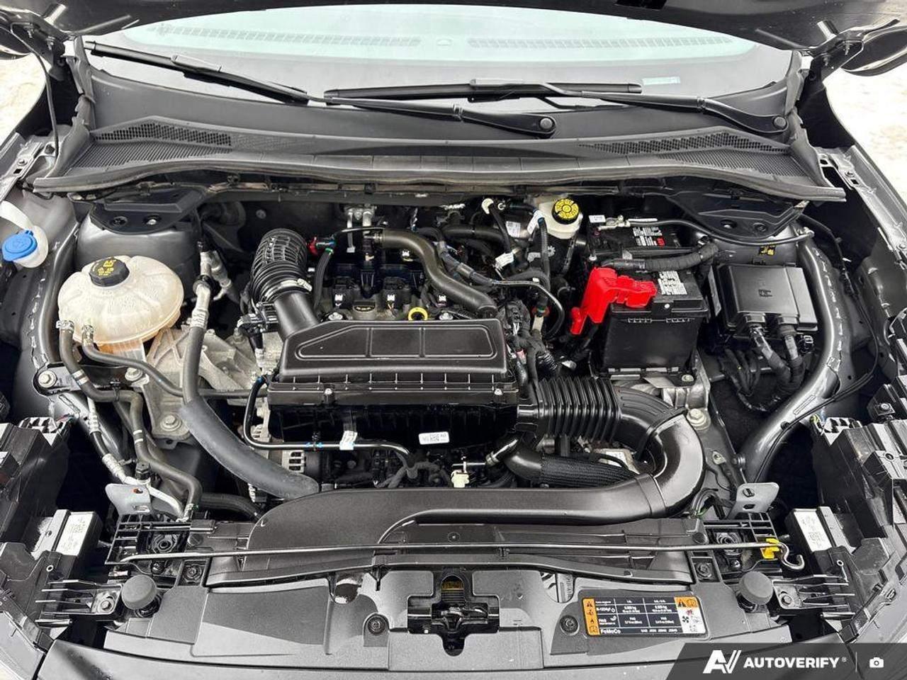 2024 Ford Escape Active   CLEAN CARFAX   BLIND SPOT MONITOR   HEATE Photo