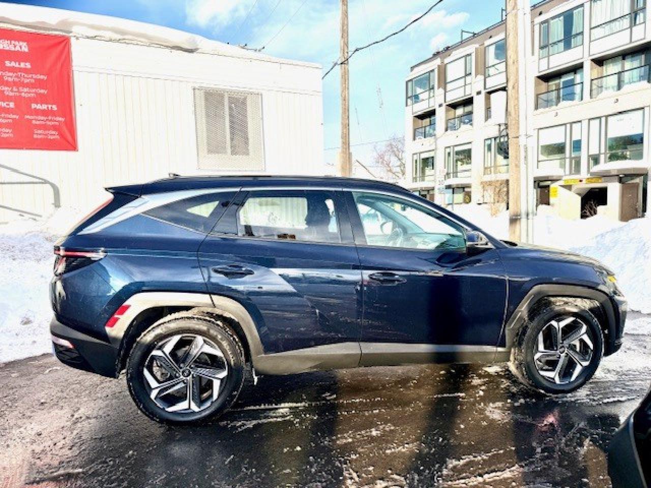 2024 Hyundai Tucson Hybrid Luxury AWD Photo