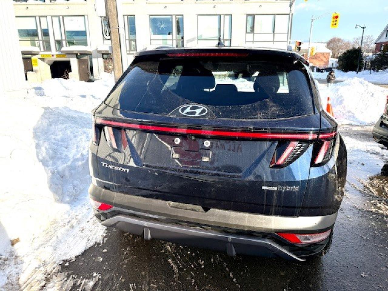 2024 Hyundai Tucson Hybrid Luxury AWD Photo