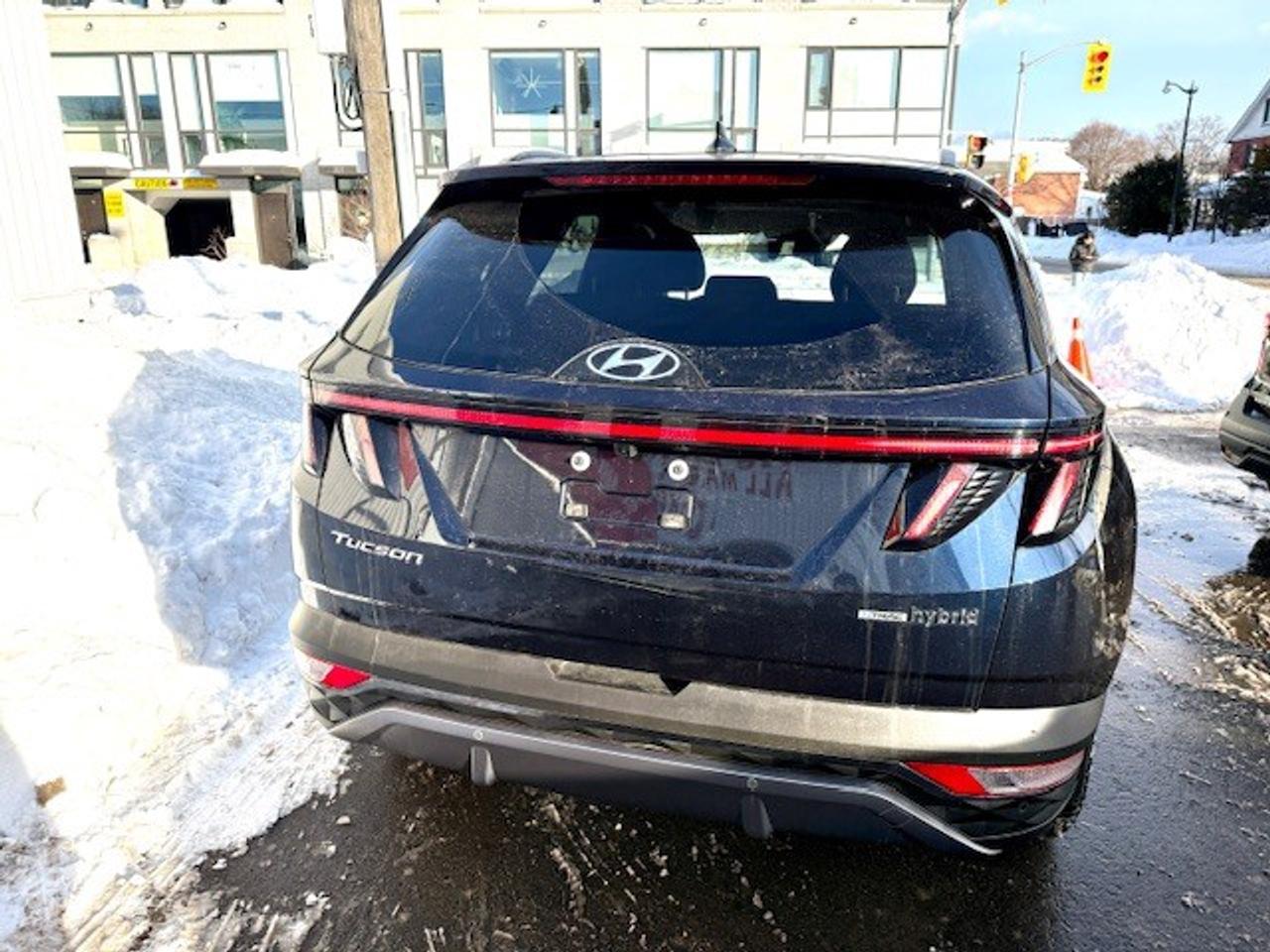 2024 Hyundai Tucson Hybrid Luxury AWD Photo