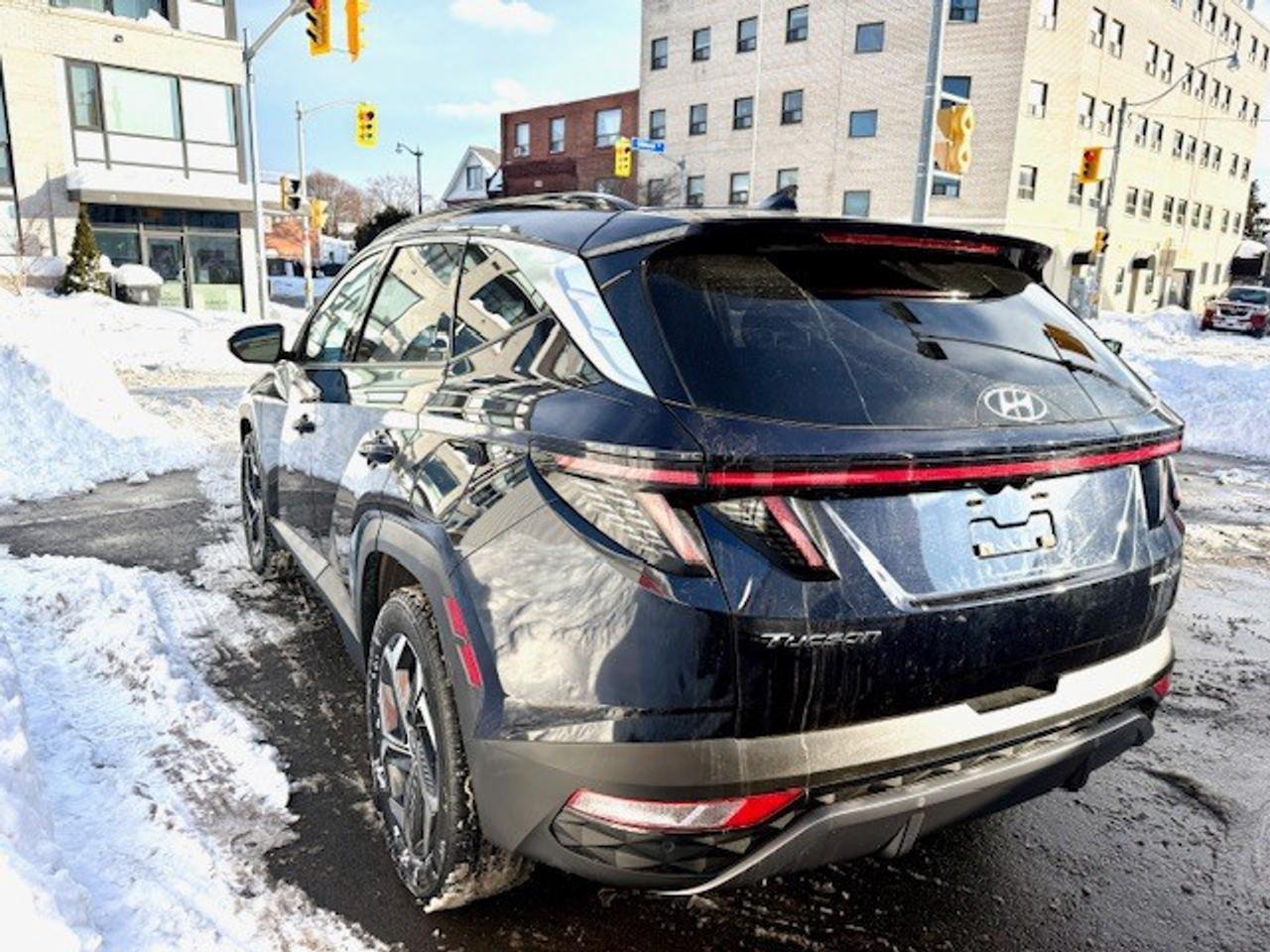 2024 Hyundai Tucson Hybrid Luxury AWD Photo