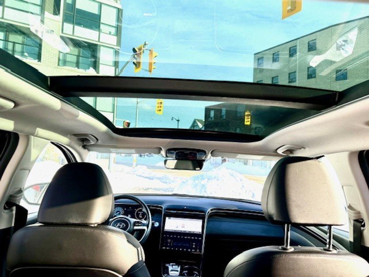 2024 Hyundai Tucson Hybrid Luxury AWD Photo