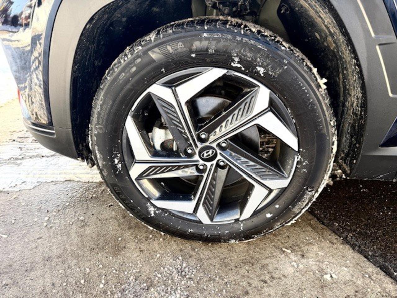 2024 Hyundai Tucson Hybrid Luxury AWD Photo