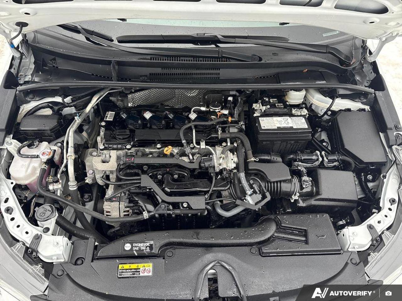 2024 Toyota Corolla LE   CLEAN CARFAX   CARPLAY   BLIND SPOT MONITOR Photo