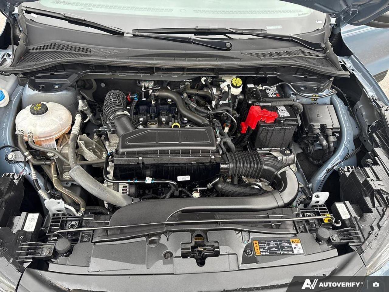 2024 Ford Escape Active   CLEAN CARFAX   BLIND SPOT MONITOR   HEATE Photo