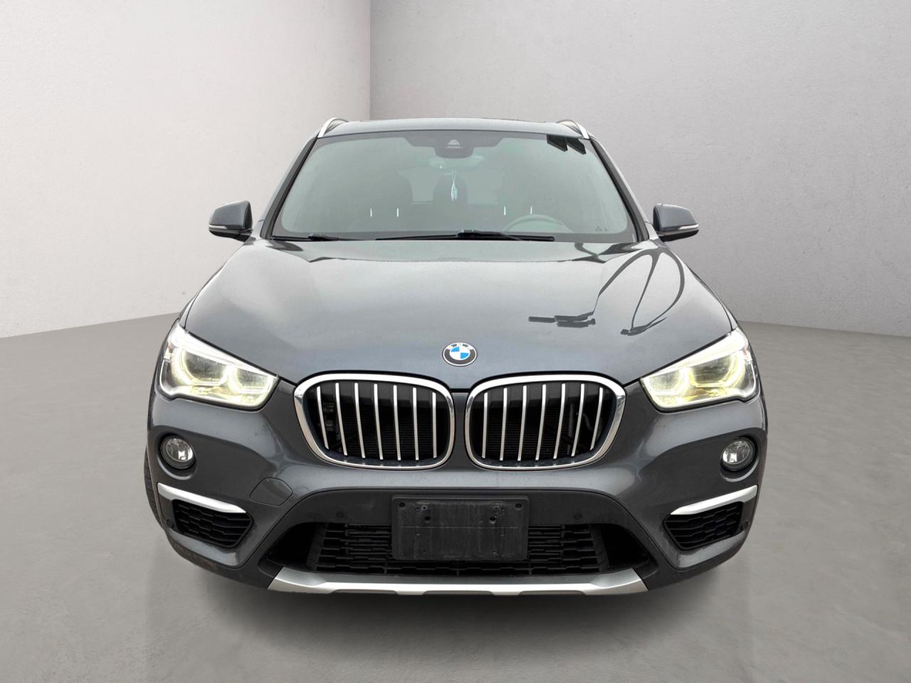 2019 BMW X1 xDrive28i Navi Panoramic Sunroof Photo
