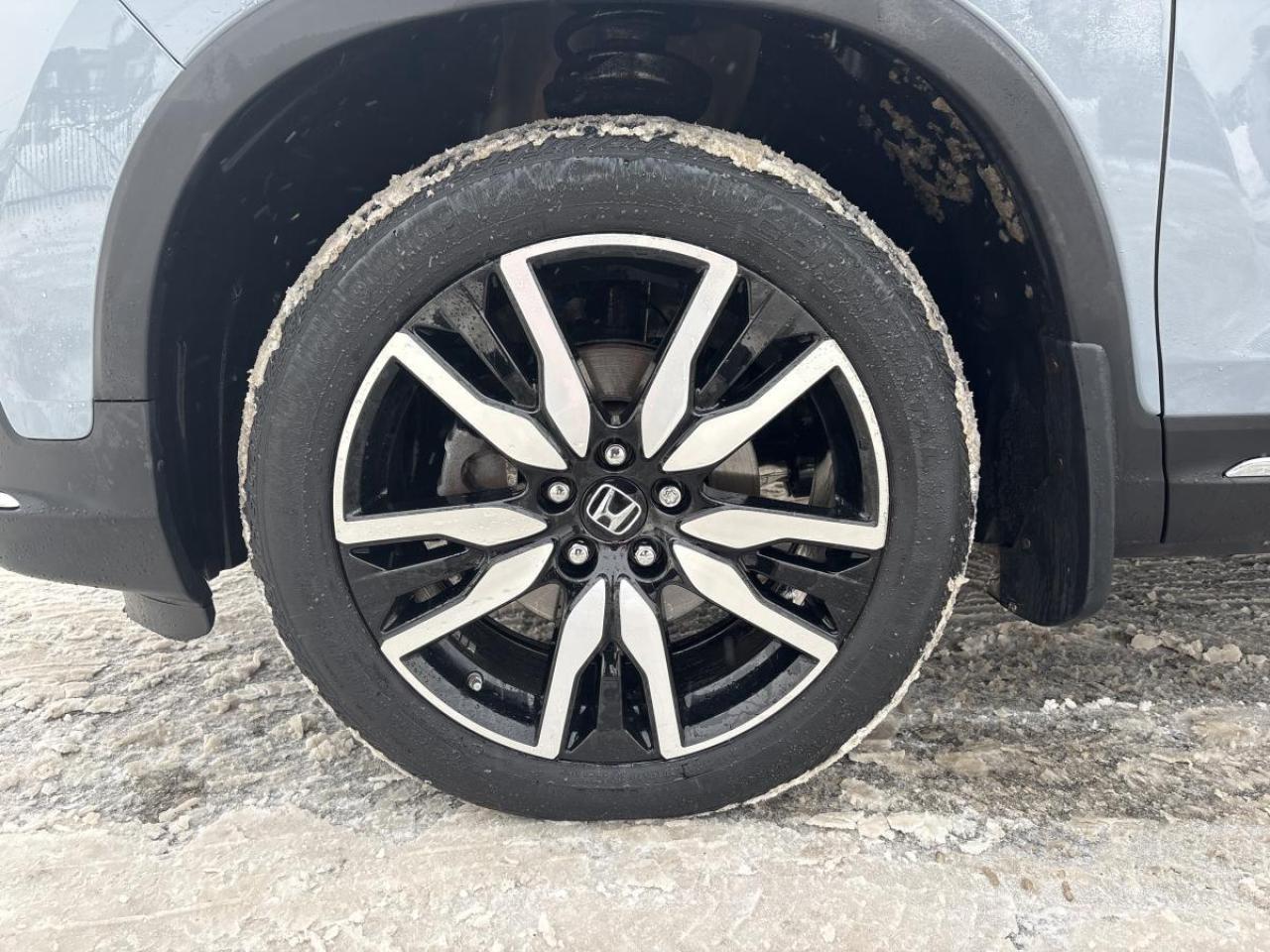 2022 Honda Pilot Touring 8-Passenger AWD Photo