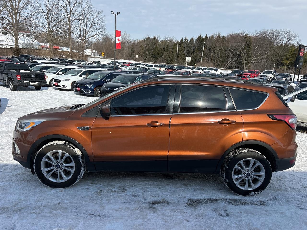 2017 Ford Escape SE, BACK UP CAMERA, NAV, HEATED CLOTH SEATS! Photo4