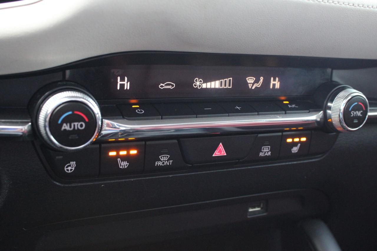 2021 Mazda MAZDA3 100th Anniversary Edition Red Interior Photo