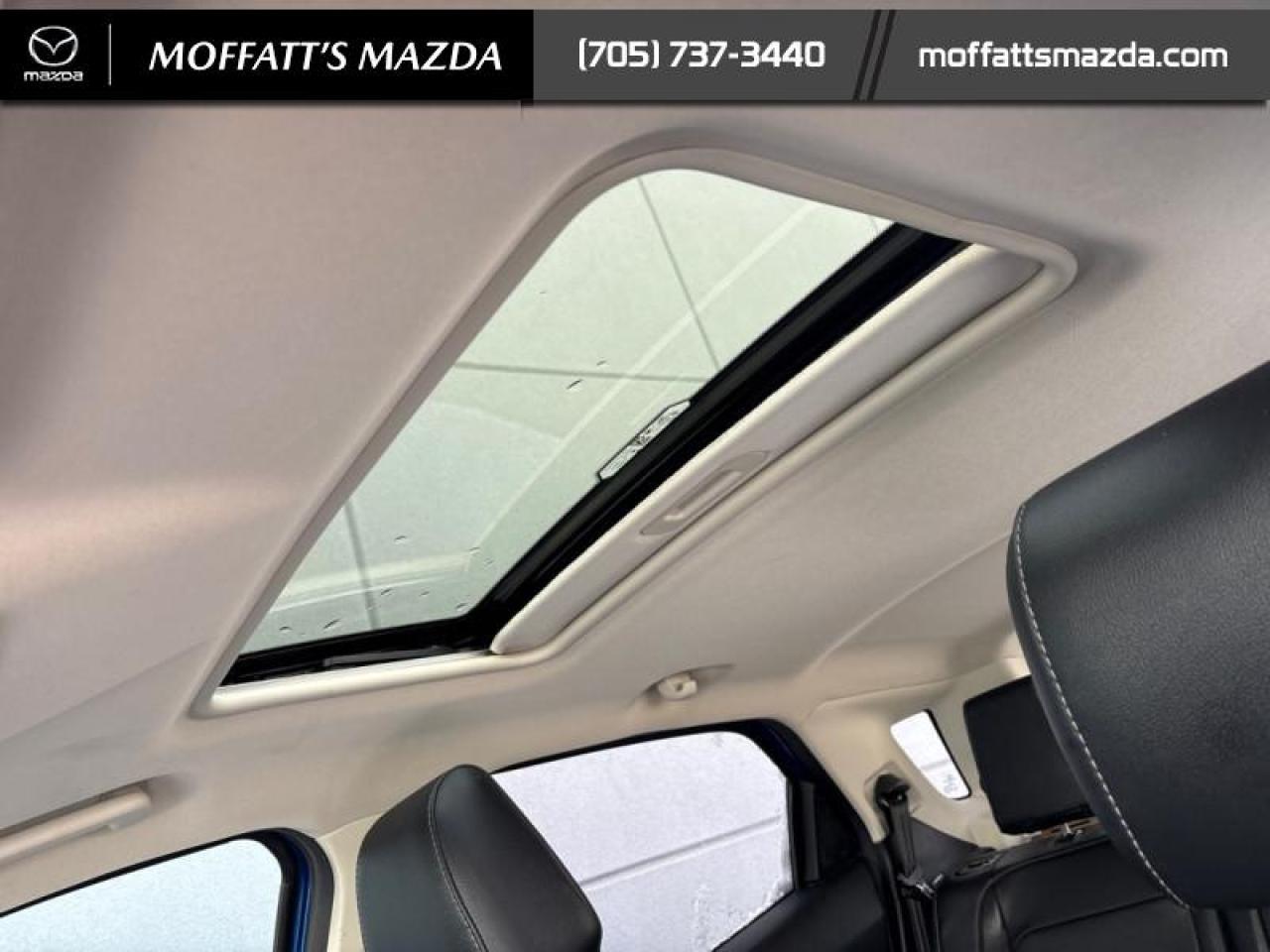 2020 Ford EcoSport Titanium 4WD Photo