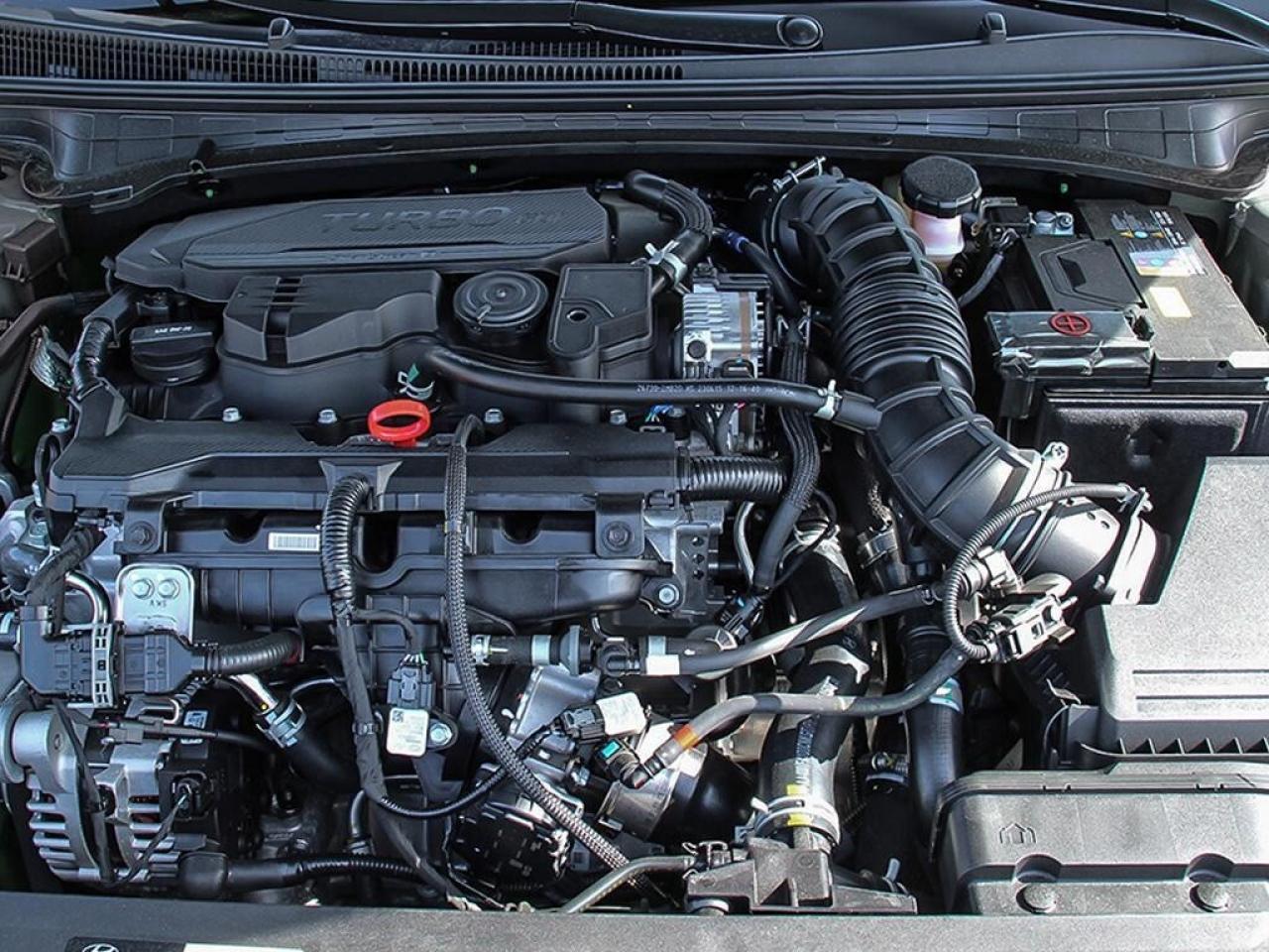 2025 Hyundai Elantra N Line Ultimate DCT Photo