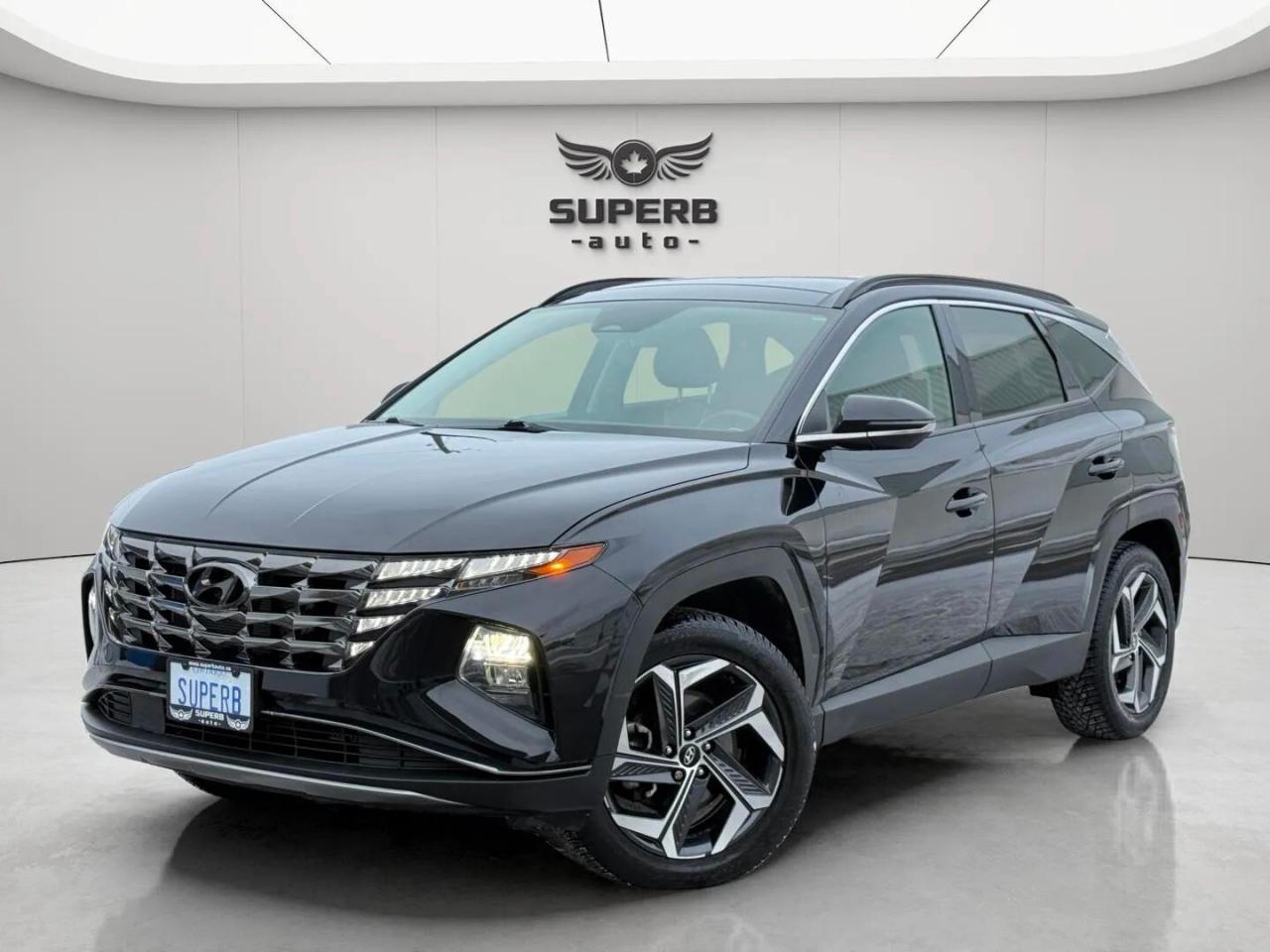 2023 Hyundai Tucson LUXURY   AWD   HYBRID   NO ACCIDENT   ONE OWNER Photo