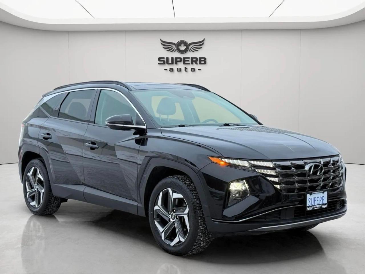 2023 Hyundai Tucson LUXURY   AWD   HYBRID   NO ACCIDENT   ONE OWNER Photo2