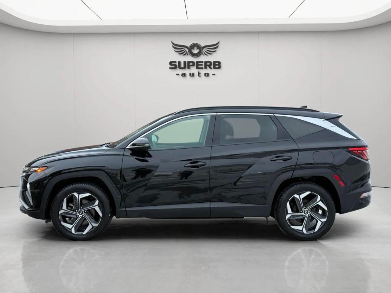 2023 Hyundai Tucson LUXURY   AWD   HYBRID   NO ACCIDENT   ONE OWNER Photo3