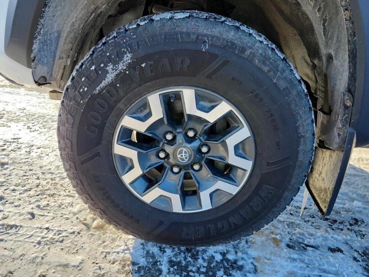 2017 Toyota Tacoma TRD Off Road Access Cab Photo