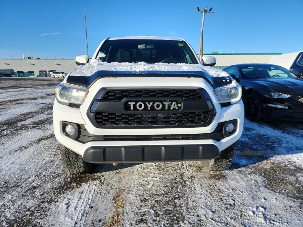 2017 Toyota Tacoma TRD Off Road Access Cab Photo