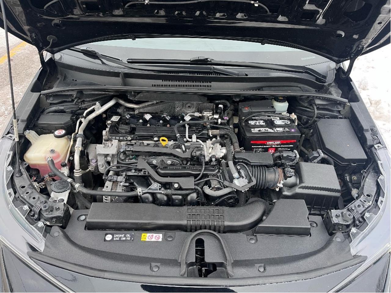 2019 Toyota Corolla Hatchback SE CERTIFIED Photo