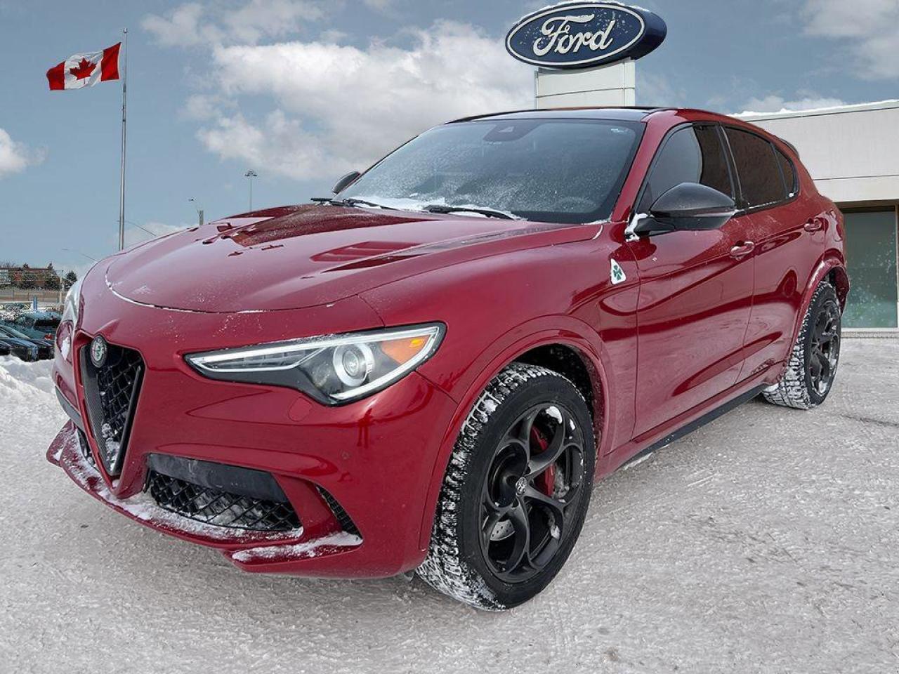 2019 Alfa Romeo Stelvio Quadrifoglio   LEATHER   SUNROOF   NAV LEATHER   S Photo