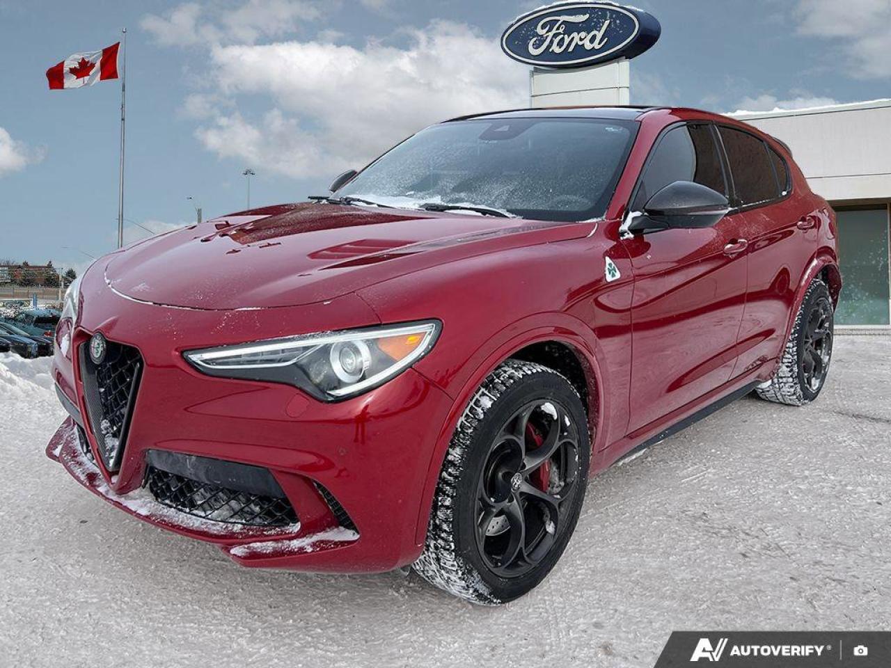 2019 Alfa Romeo Stelvio Quadrifoglio   LEATHER   SUNROOF   NAV LEATHER   S Photo