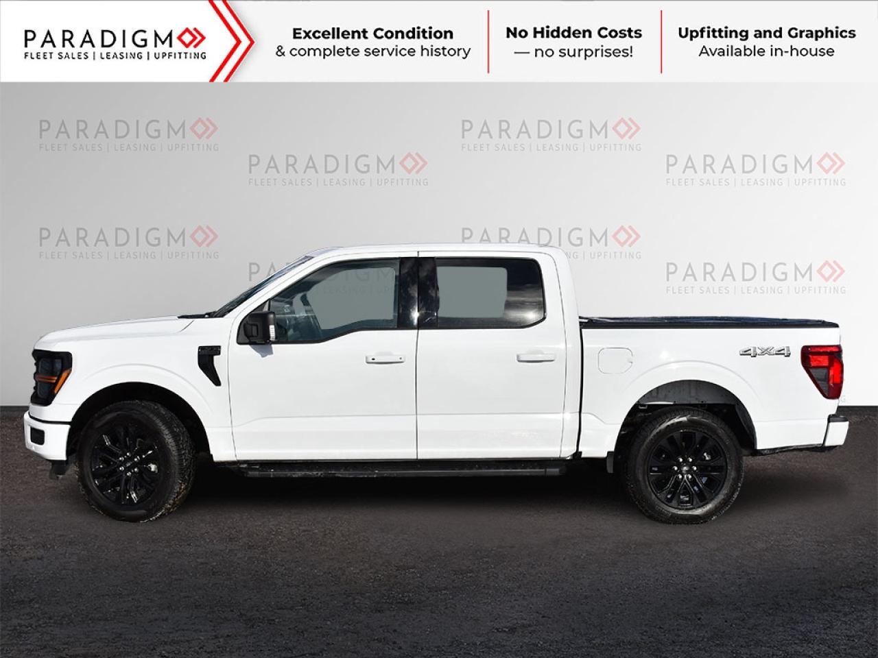 2025 Ford F-150 XLT Photo3