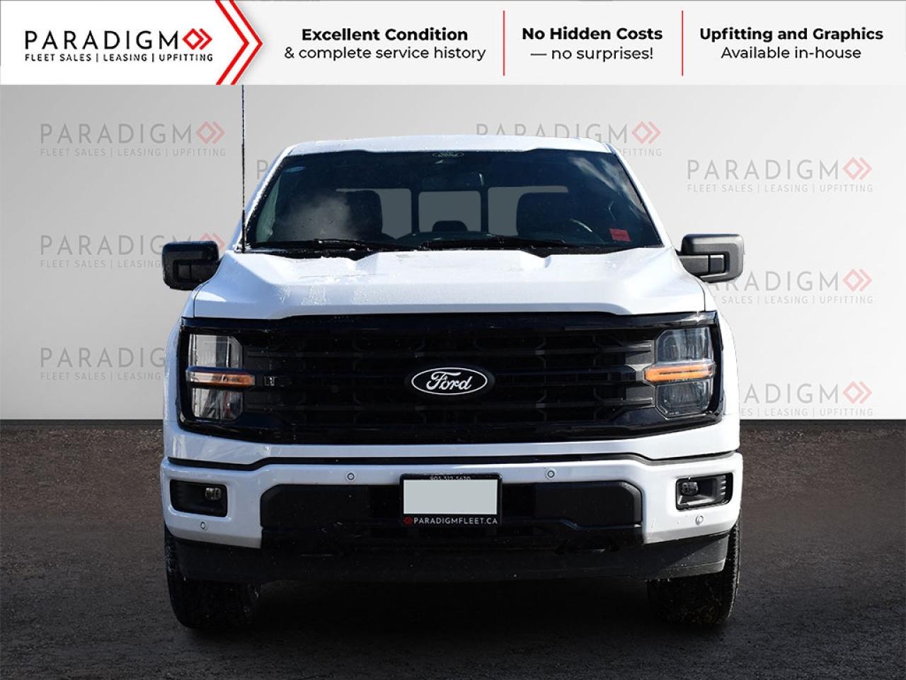 2025 Ford F-150 XLT Photo