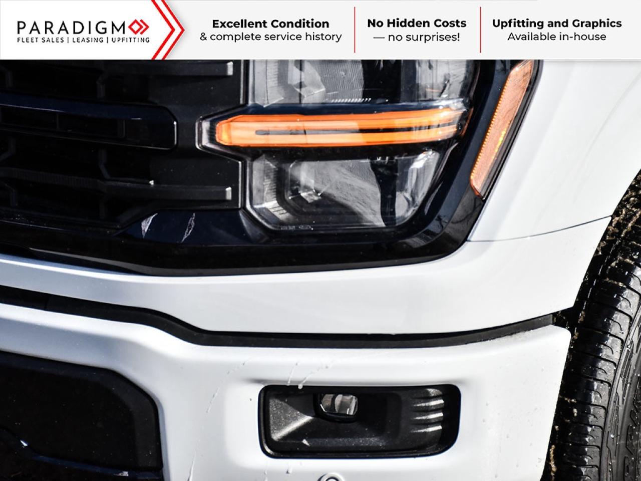 2025 Ford F-150 XLT Photo