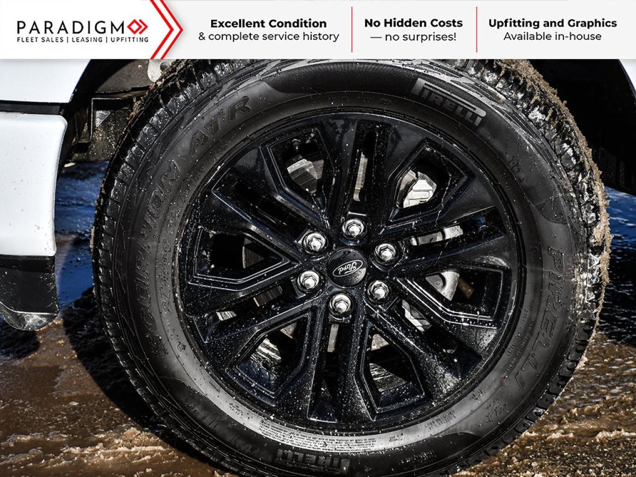 2025 Ford F-150 XLT Photo