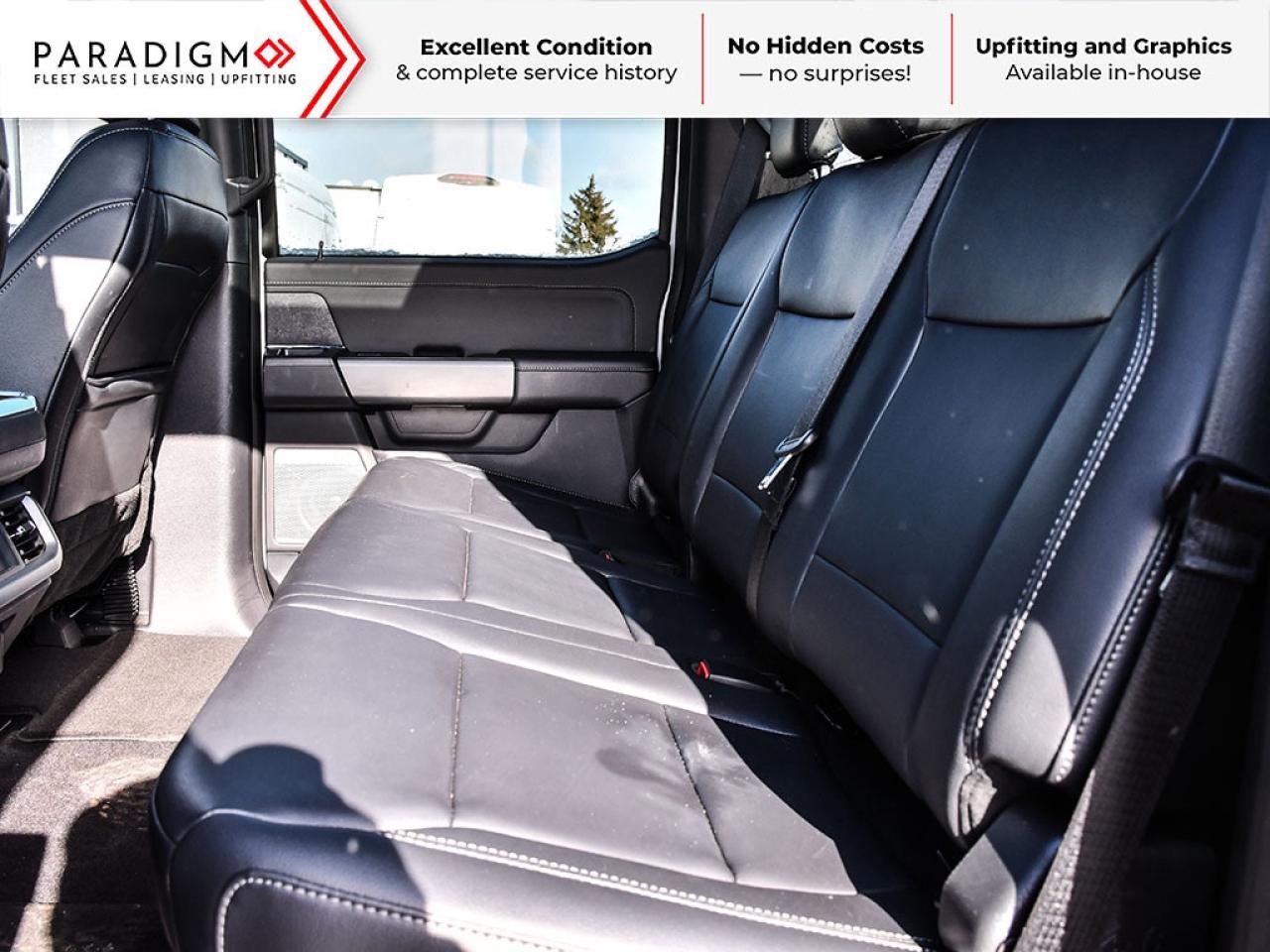 2025 Ford F-150 XLT Photo