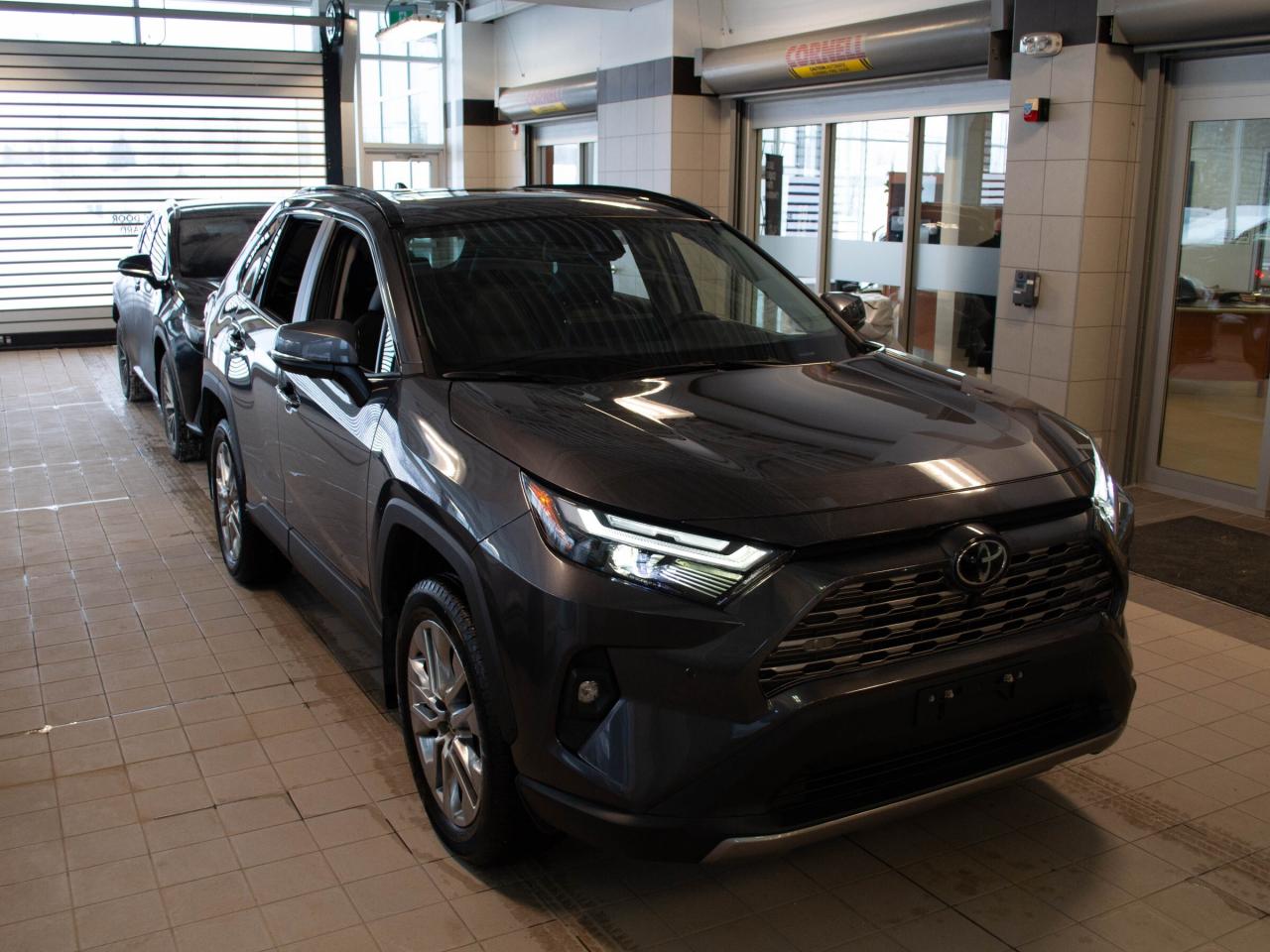 2024 Toyota RAV4 LIMITED  Photo