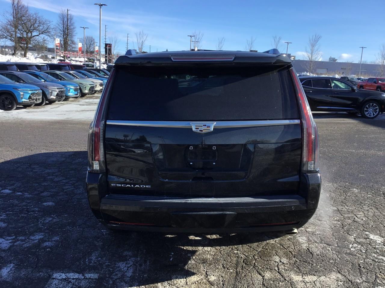 2018 Cadillac Escalade Platinum Photo