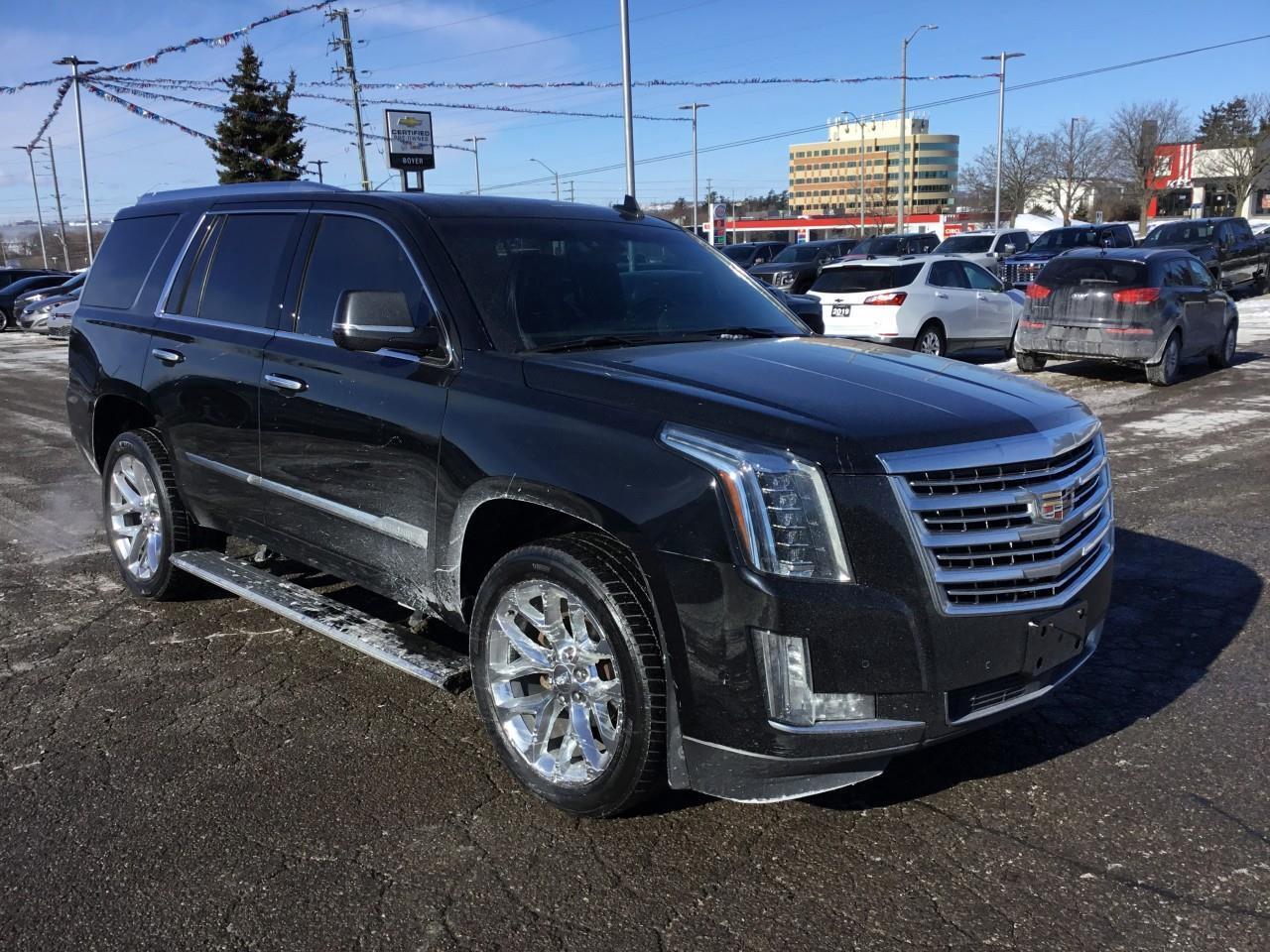 2018 Cadillac Escalade Platinum Photo