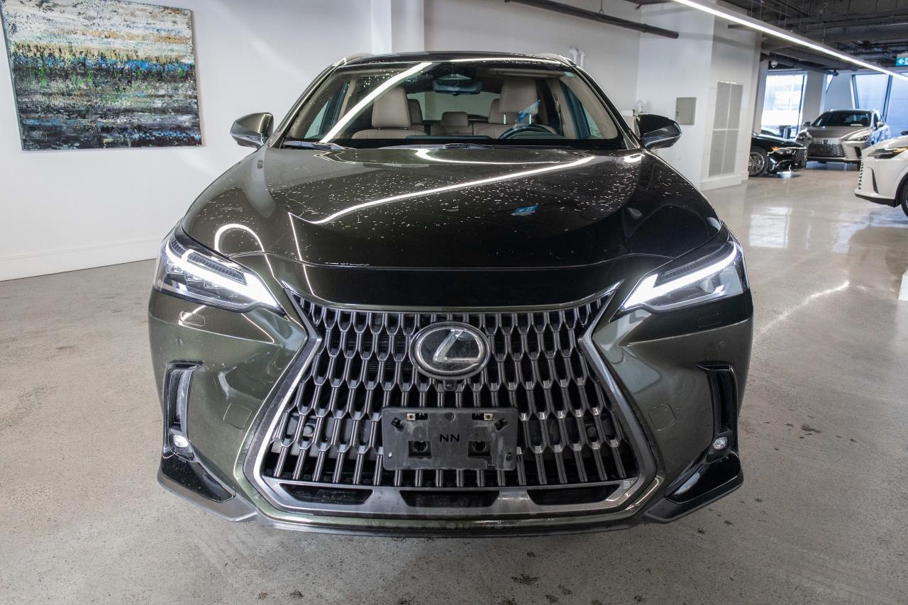 2024 Lexus NX 350h Ultra Luxury Lexus Certified Welcome Trades Photo